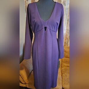 Nordstrom Donna Morgan Plum Long Sleeve Dress